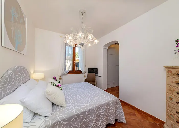 Mortimati Pittulongu Olbia